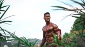 baaghi-2-collection