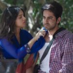 shubh-mangal-saavdhan-box-office-collection