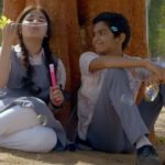 secret-superstar-box-office-collection-day-22