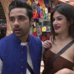 Puneesh-Sharma-Eliminated-Bigg-Boss-11