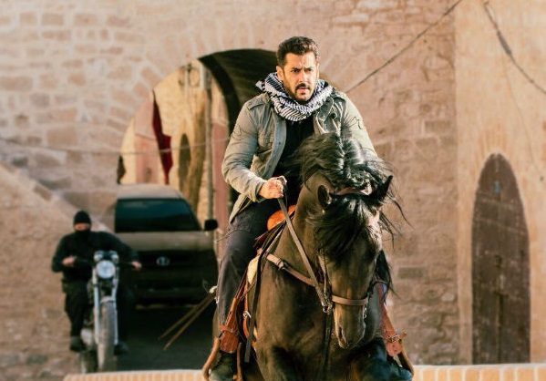 Tiger Zinda Hai Early Collection Trends And Morning Occupancy Day 12