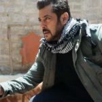 Tiger Zinda Hai Box Office Collection Day 29
