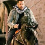 Tiger-Zinda-Hai-Collection-Day-41
