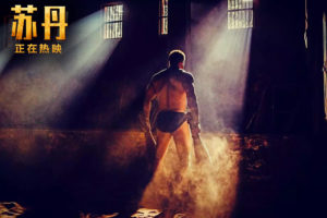 Sultan-day-wise-collection-china-till-day-18