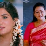 Shakeela Review, Box Office Result, Hit Or Flop In Theaters?