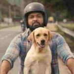 777 Charlie Review, Box Office Result, Hit Or Flop In Theaters?