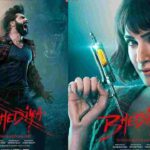 Bhediya Review, Box Office Result, Hit Or Flop In Theaters?