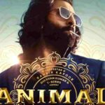 Animal Movie Box Office Collection Potential Day 1